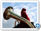 Evelyne. En fanfare