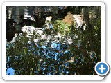 Marie-France. Reflets